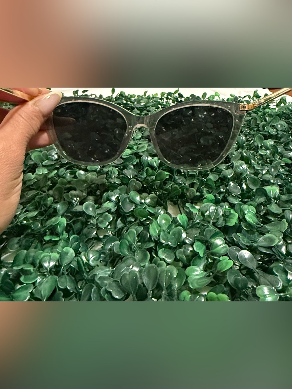 Clear Frame Black Lens Women's Sunglasses